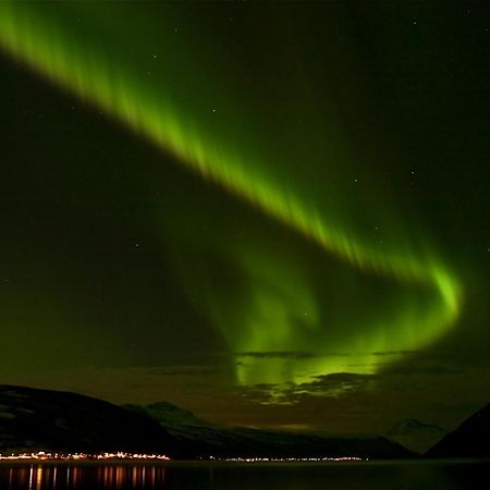 Fjellkysten Tennevoll المظهر الخارجي الصورة